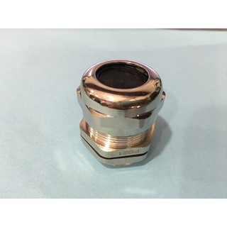 Ốc siết cáp kim loại PG21