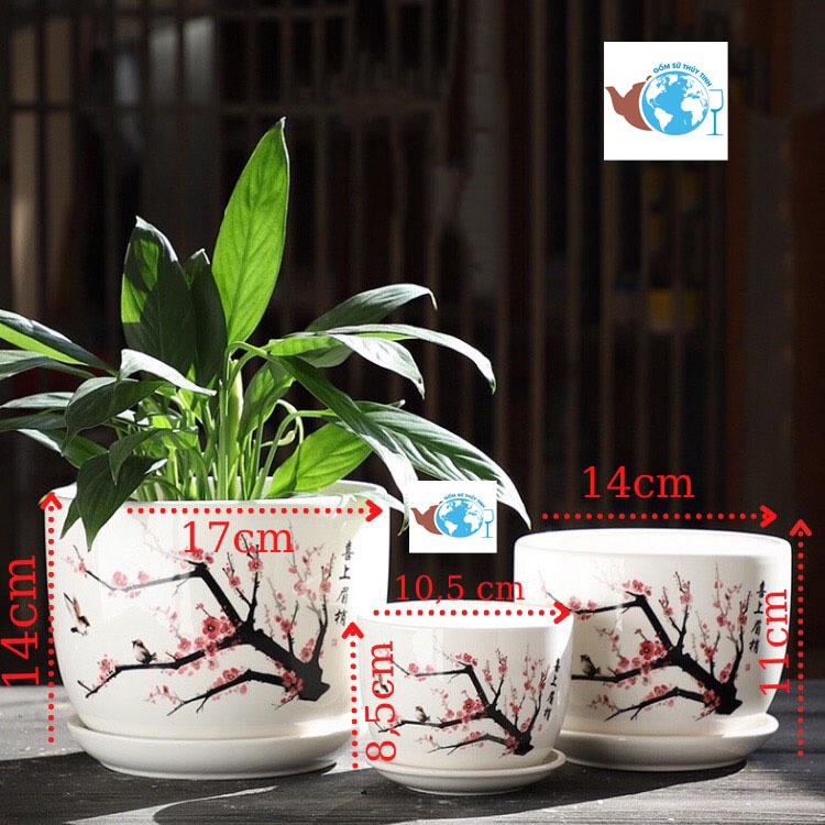 Chậu sứ trồng cây hoa HOA ĐÀO cực xinh, chậu trồng cây để bàn hoặc cây ngoài vườn