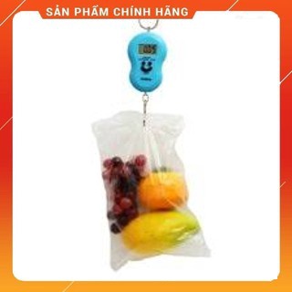 Cân điện tử mini cầm tay 40kg