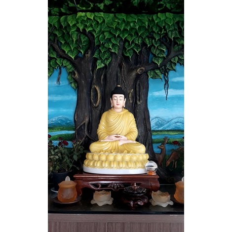 Bổn sư đài loan 50cm đá