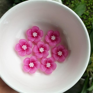 Khuôn Vĩ Hoa Mai 6B Chữ Nhật - KHUÔN SILICON