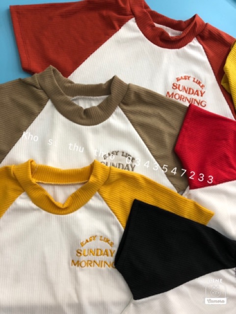 Áo croptop thêu hình chụp thật kèm video