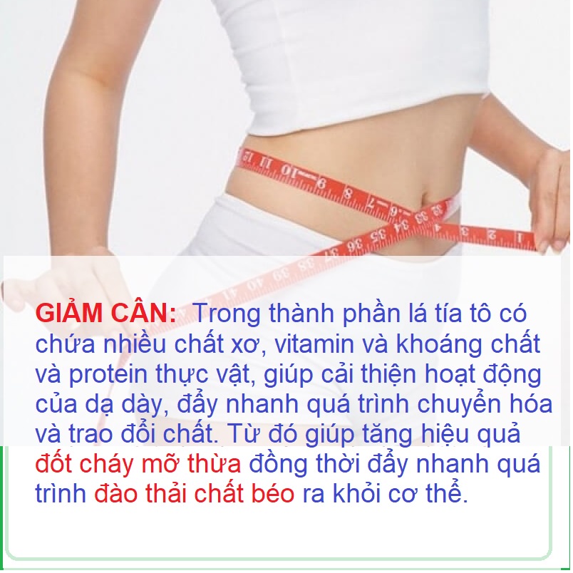 Trà TÍA TÔ - giảm MỤN - NÁM, TÀN NHANG ( 40 túi lọc )