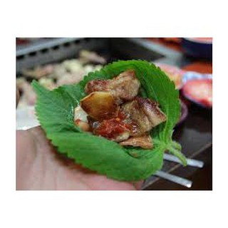Bán hạt giống lá vừng mè hàn quốc hàng chuẩn