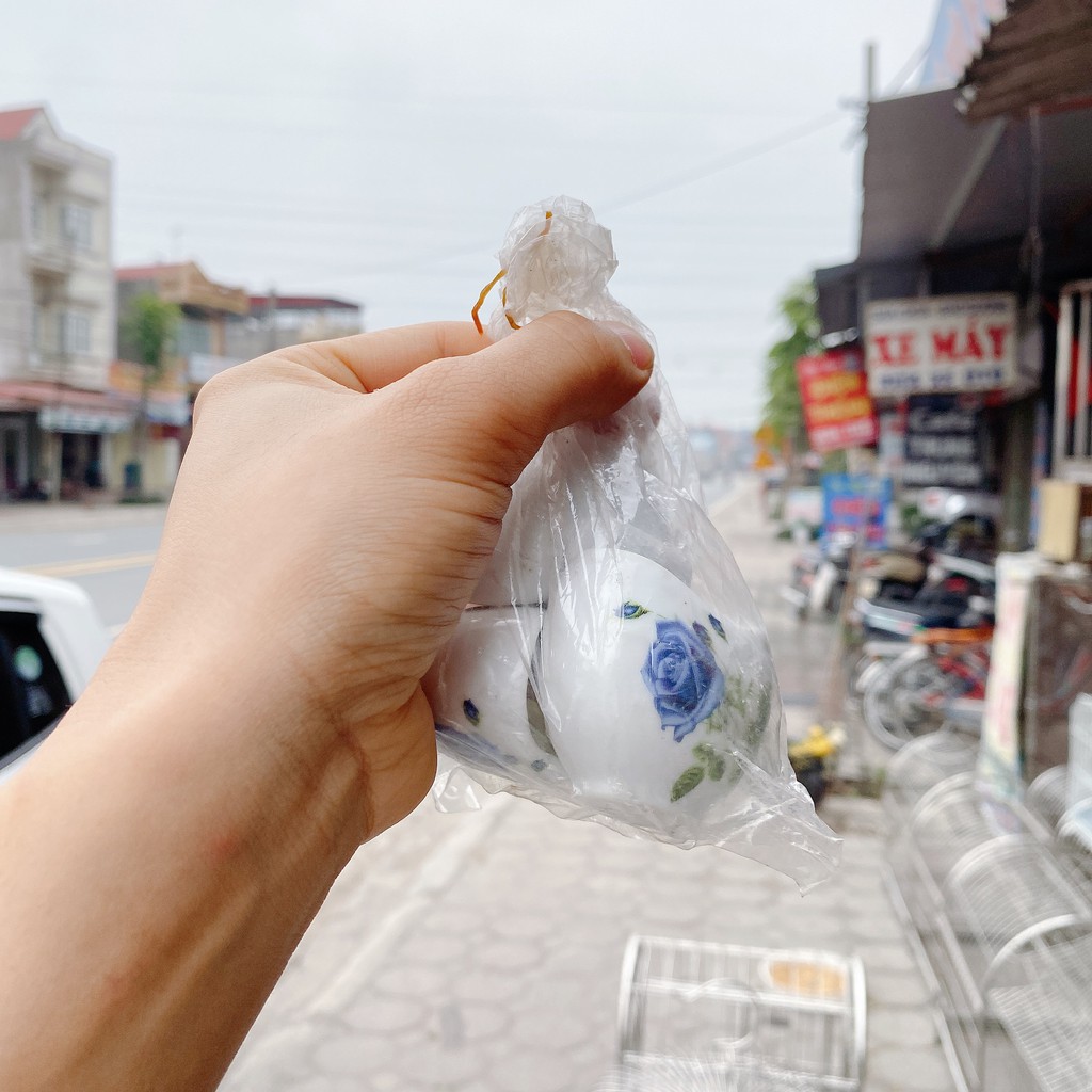 Cóng Chim Chào Mào, Vành Khuyên