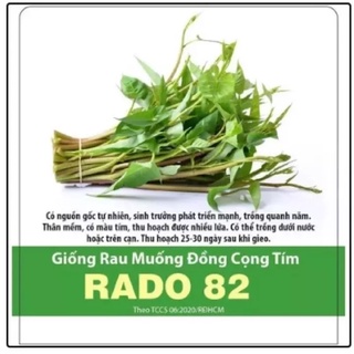 Hạt giống rau muống đồng cọng tím 82