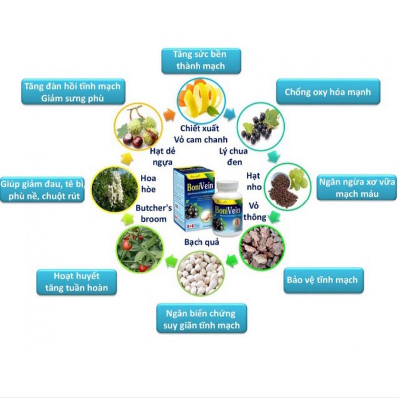 Bonivein hỗ trợ dãn tĩnh mạch hộp 30v nhập khẩu chính hãng