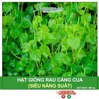 Hạt Giống Rau Càng Cua Phú Nông Gói 0.5 Gram