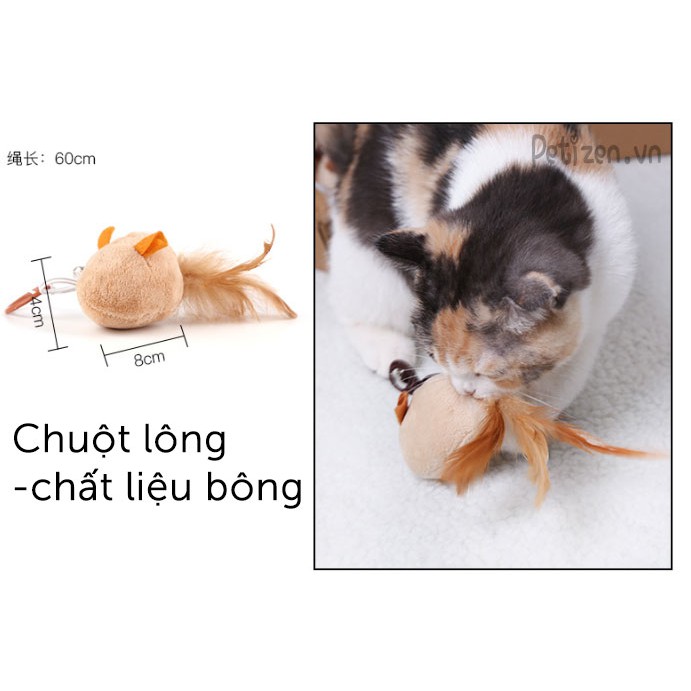 Set đồ chơi 7 món cho Mèo