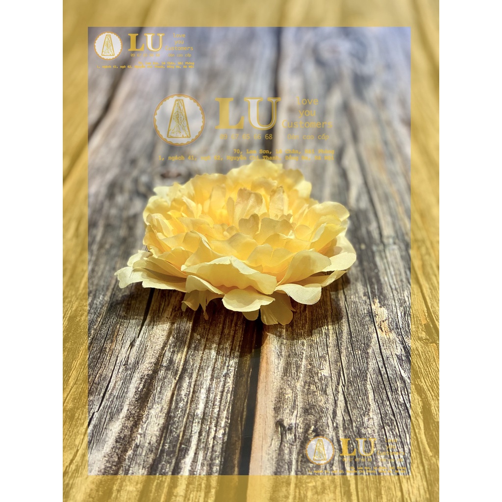 Đầu hoa mẫu đơn | LU