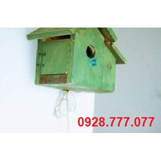 Tổ chim gỗ trang trí