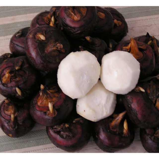 Củ mã thầy- Củ năng 1kg (ship toàn quốc đảm bảo tươi ngọt)