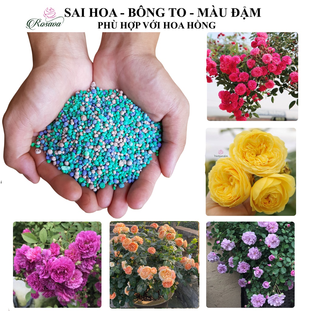 Phân npk, phân bón đầu trâu nhập khẩu cho hoa hồng, cây cảnh, hoa giấy, sen đá, hoa lan, rau