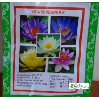 5 Hạt giống Súng thái  XTRA TẶNG KÈM PHÂN VÀ KÍCH MẦM
