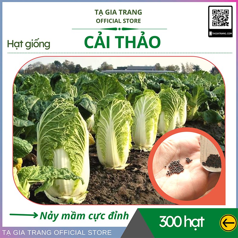 Hạt giống Cải thảo F1 - Gói 0.5gr (300 hạt)