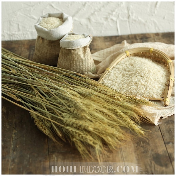Bông Lúa Mạch / Bó Lúa Mỳ Trang Trí Nhà Cứa, Bàn Học, Chụp Ảnh Vintage - Shop Hohi Decor