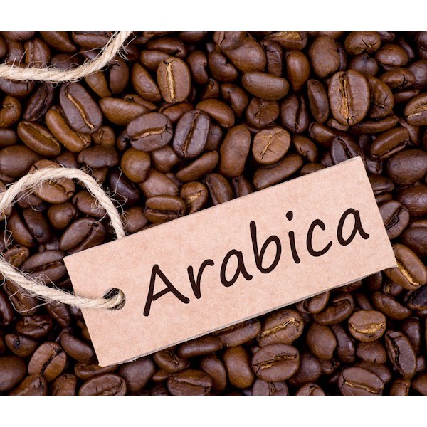 Túi Treo CAFE Arabica-Như Ý Coffee Hạt Mộc Nguyên Chất_Treo xe, phòng khử mùi cho hương thơm phong cách, cá tính | BigBuy360 - bigbuy360.vn