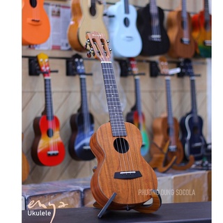 Mua Đàn ukulele ENYA EUC-X1 - Size Concert - Gỗ koa HPL