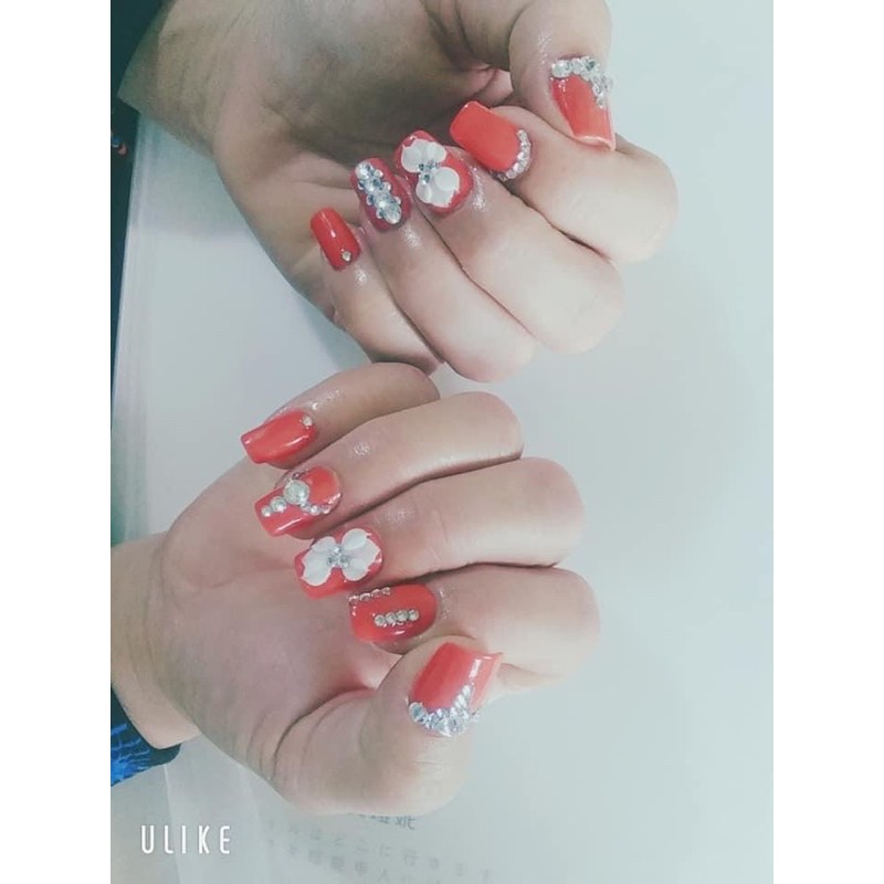 hoa bột nail