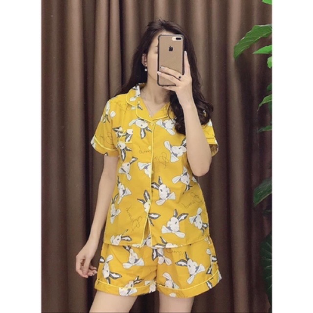 Bộ pijama nữ cộc đùi ( Mẫu Số 1 - 20 ) | BigBuy360 - bigbuy360.vn