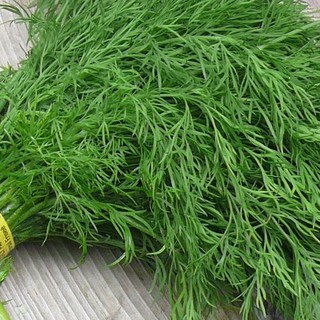 5GR - HẠT GIỐNG RAU THÌ LÀ