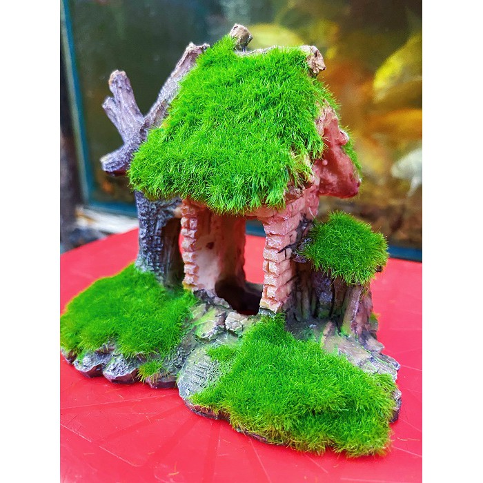 CỔNG NHÀ CÂY PHỦ RÊU TRANG TRÍ HỒ CÁ NON BỘ 11X7X12CM