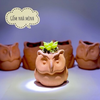 Chậu Cú đất nung