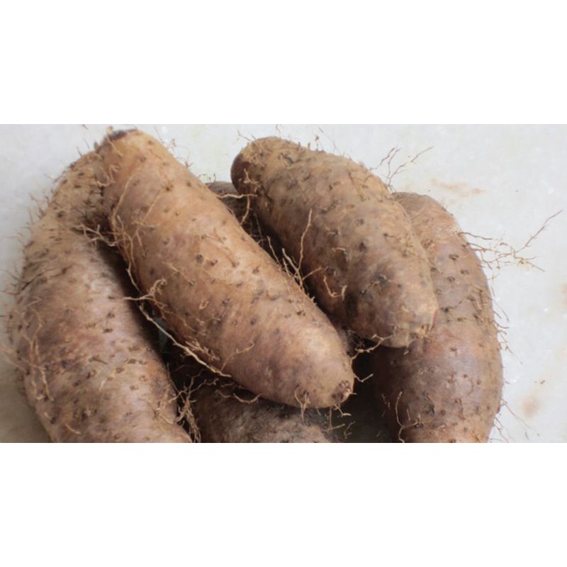 KHOAI TỪ CỦ TƯƠI LOẠI 1- HÀNG ĐĂK LĂK ĐẶC RUỘT - NGON - DẺO