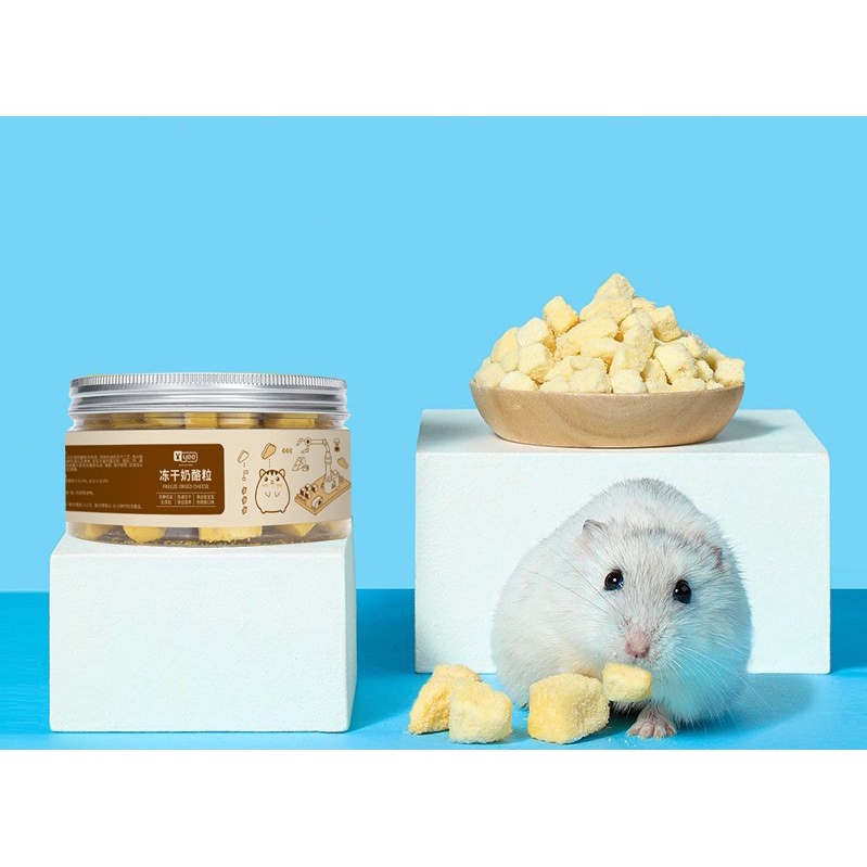 Phô mai Yee xịn xò cho Hamster