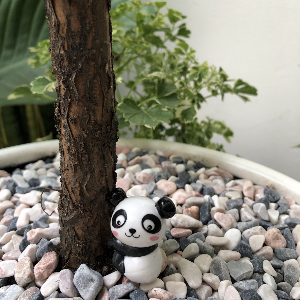 Phụ kiện tiểu cảnh gấu trúc trang trí sen đá, xương rồng, terrarium, cây cảnh mini, cây để bàn