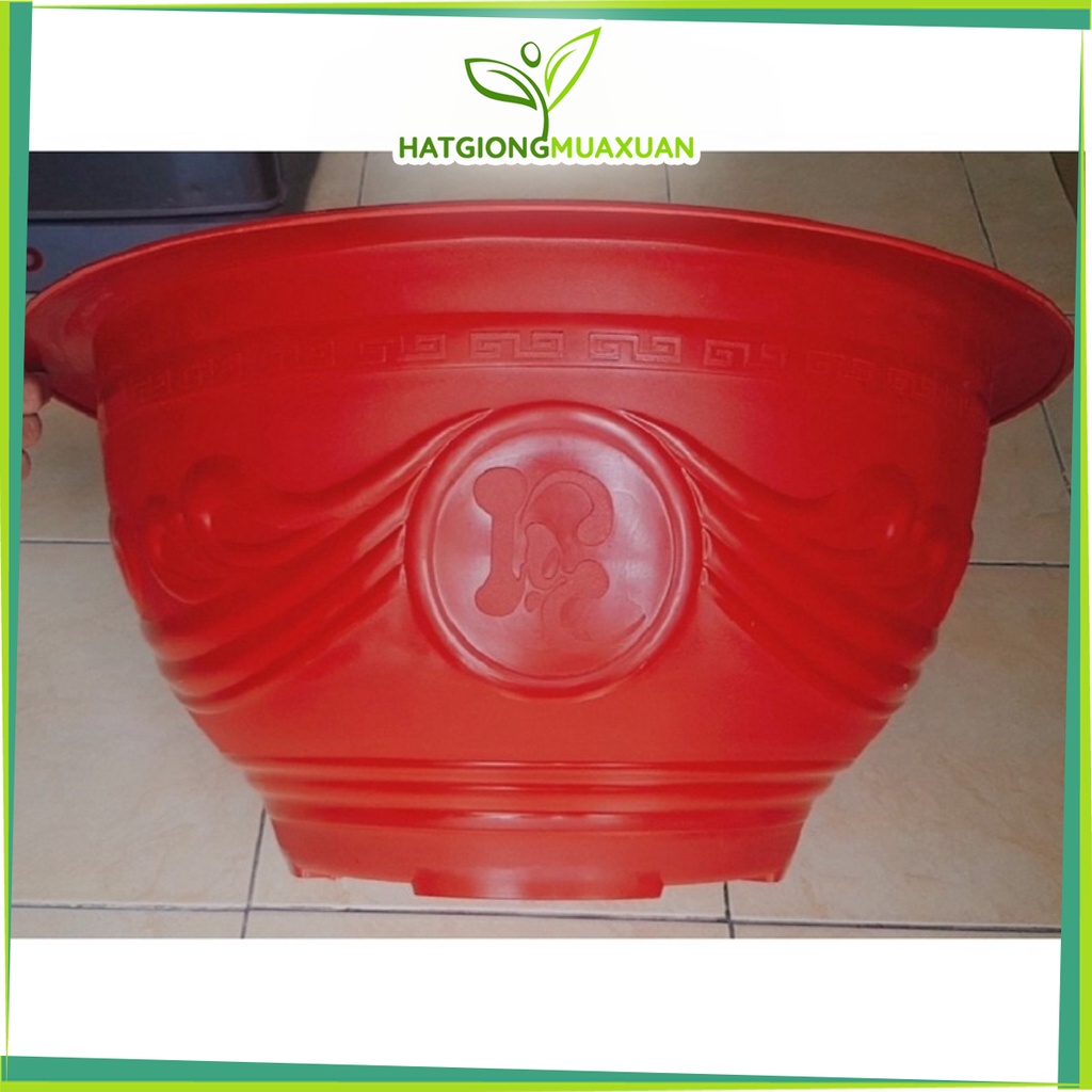 Set 02 Chậu nhựa trồng cây có lỗ/bít lỗ T58 kt 56x28cm