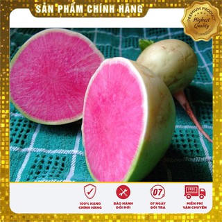 Hạt giống củ cải xanh ruột đỏ F1