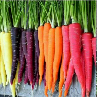 Cà rốt nhiều màu