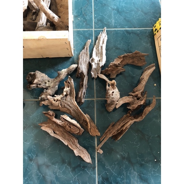 Lũa siêu mini dùng setup bể cá thuỷ sinh, bể bán cạn, terrarium