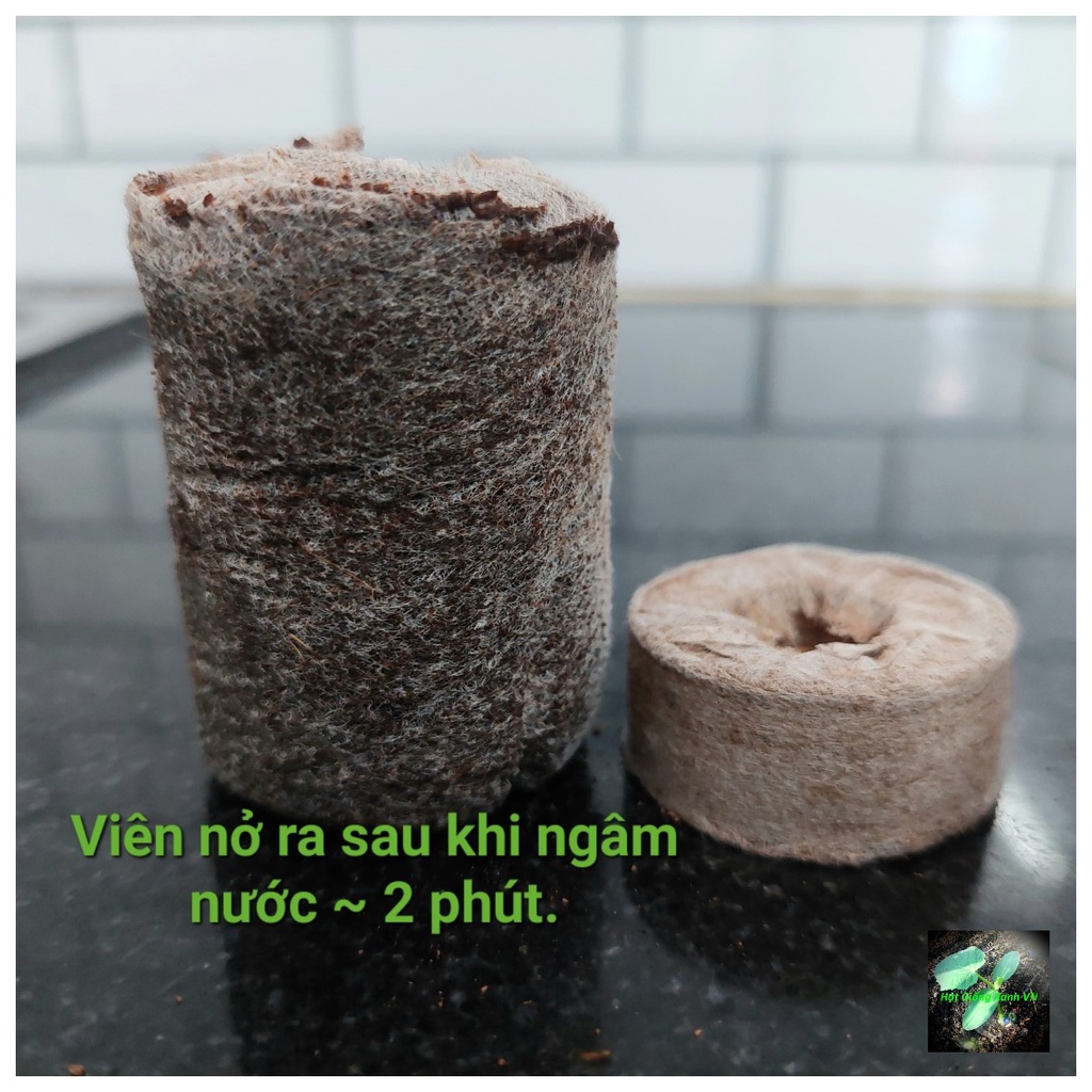 Viên nén sơ dừa dùng để ươm hạt giống 3.5x1.5mm, số lượng 10 viên