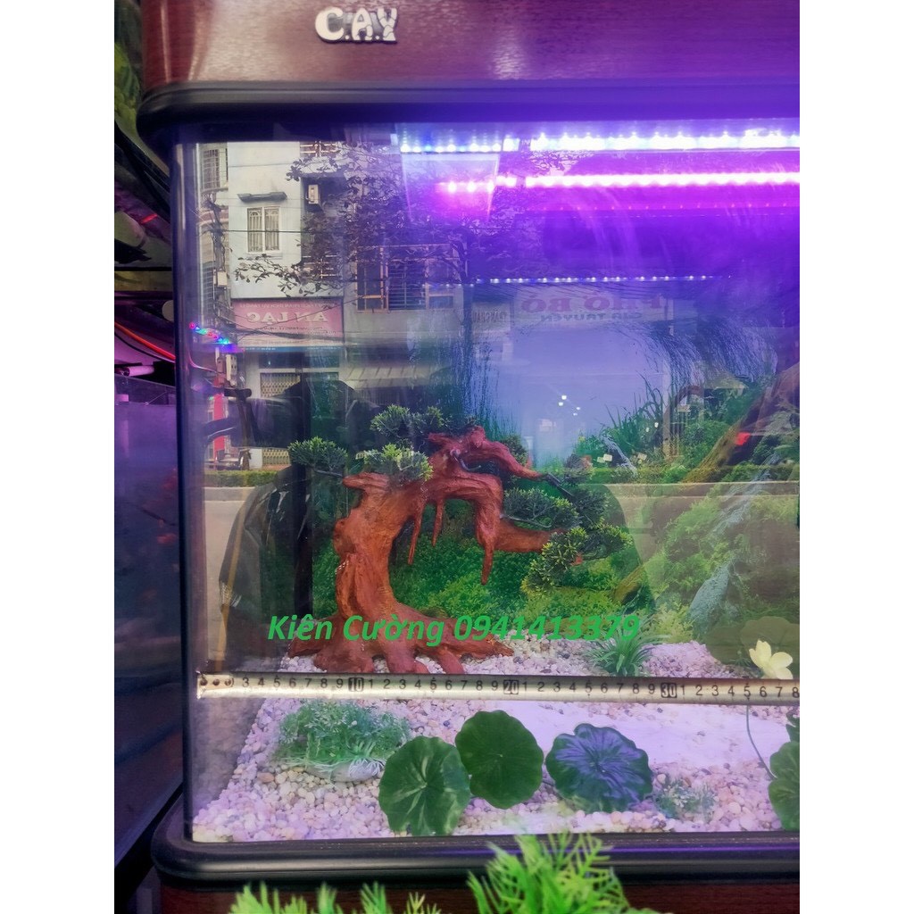 Mẫu tùng rủ có tán giả nhựa cho hồ cá