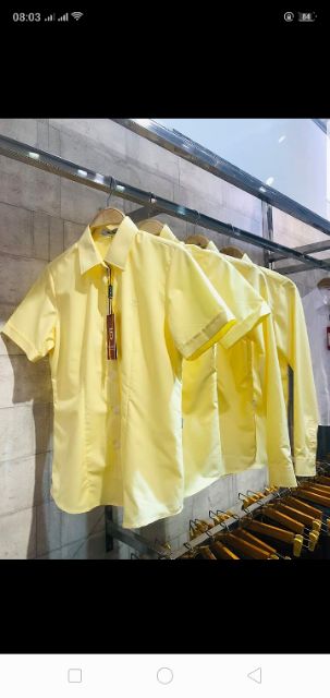 Áo sơ mi nữ Thái Hòa vàng trơn mã 047. | BigBuy360 - bigbuy360.vn