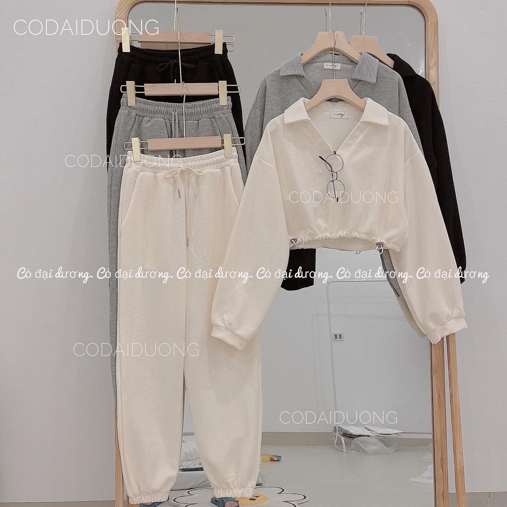 set áo polo dáng croptop quần bo chun (ảnh thật)