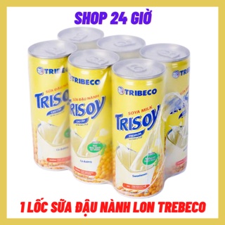 Lốc 6 lon Sữa đậu nành Tribeco Trisoy 240ml