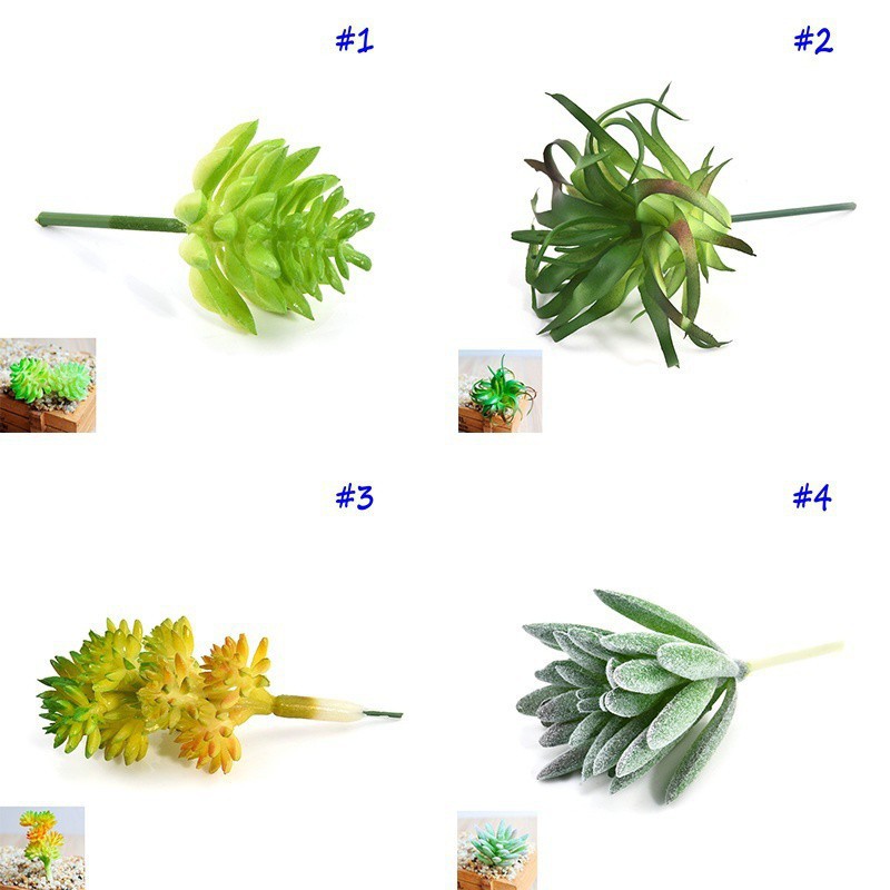 Cây mọng nước nhân tạo dùng trang trí khu vườn