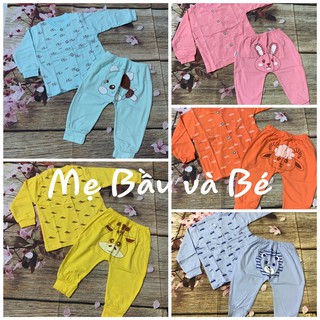 Bộ đồ thun áo cổ trụ quần in mông Thái Hà Thịnh