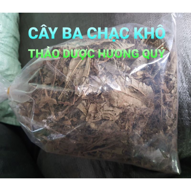 1 KG CÂY BA CHẠC KHÔ ( THÂN VÀ LÁ )
