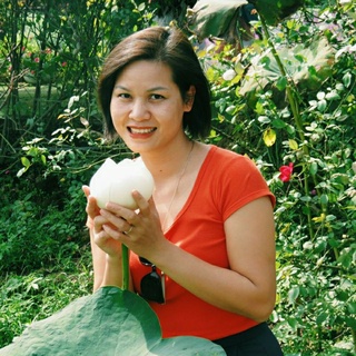 Áo voan sơ mi công sở thanhph ao0008