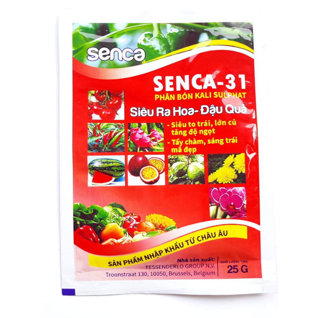 Combo 3 gói Phân bón lá SENCA-31(25g) siêu ra hoa, đậu quả, siêu to trái, lớn củ, tăng độ ngọt, tẩy chàm, sáng trái.