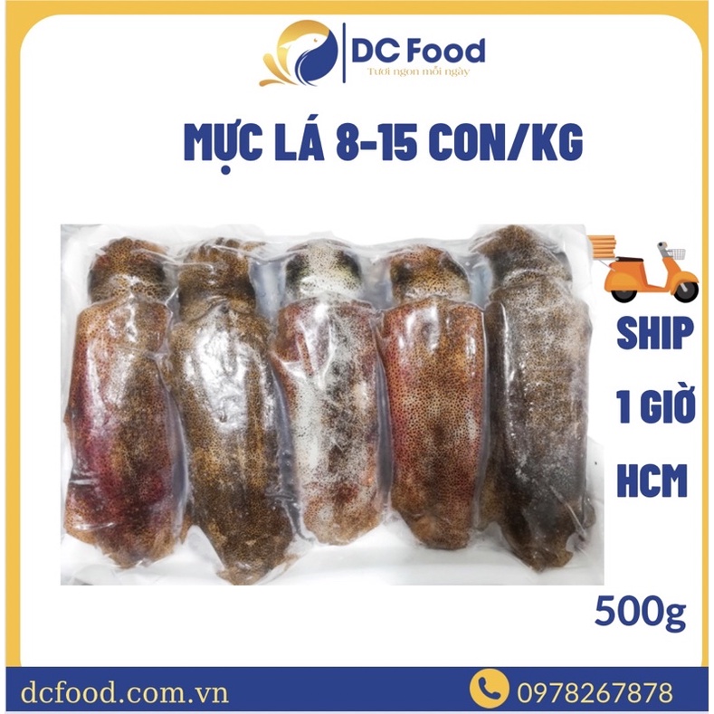 Giao HCM Mực Lá Bình Định, size 8-15 con kg, vỉ 500g, hải sản tươi ngon thumbnail