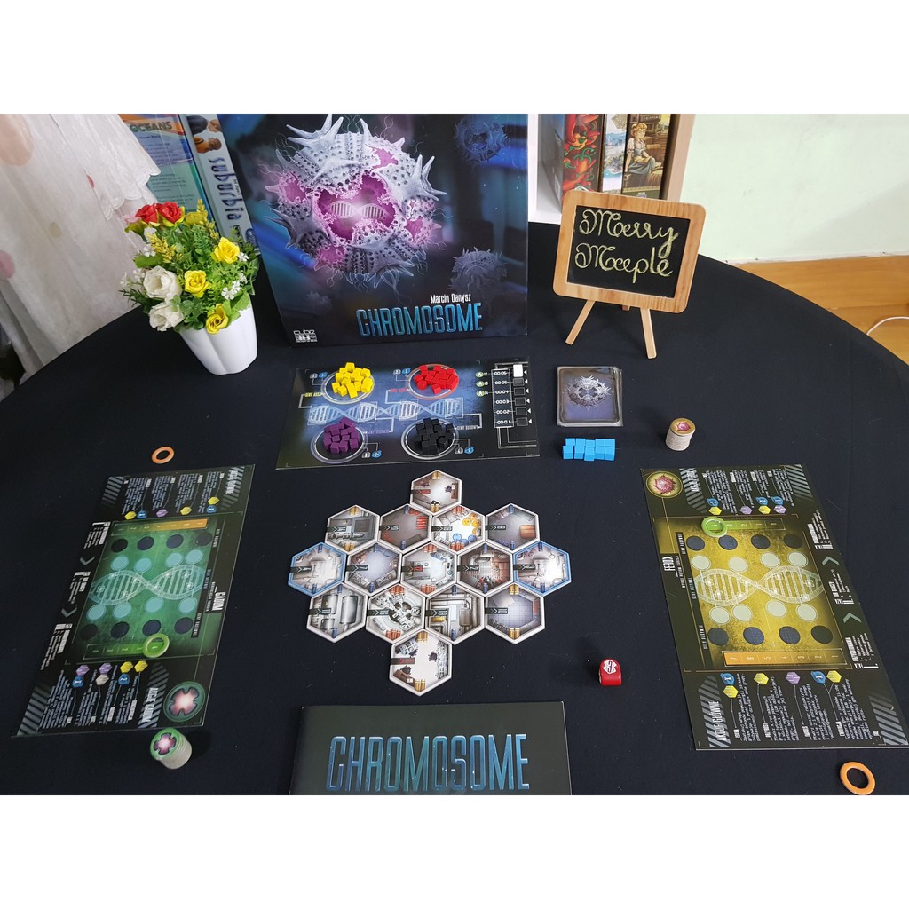 [US] Chromosome - Trò Chơi Board Game