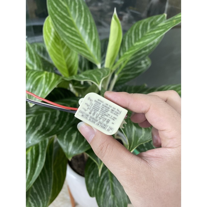 Công Tắc Cảm Biến Radar Vi Sóng + Ánh Sáng Allmay AM-RS-04