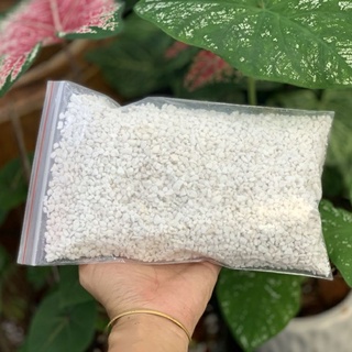 ĐÁ PERLITE HAY CÒN GỌI ĐÁ TRÂN CHÂU