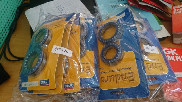 Bạc đạn chén cổ SKF Enduro Indonesia