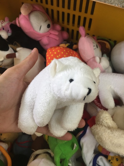 Gấu bông đồng giá size 8-10cm ngẫu nhiên